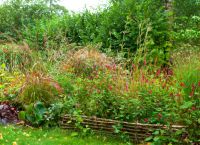 détail jardin chromatique