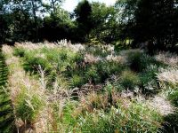 Labyrinthe graminées
