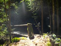 Etang de la Goulette