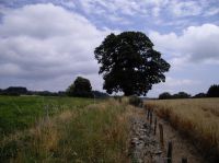 Vers le hameau des Chaux
